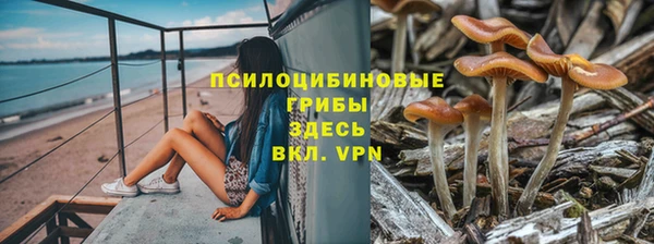 тгк Алексин