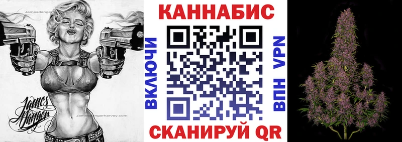 Конопля OG Kush  Каргат 